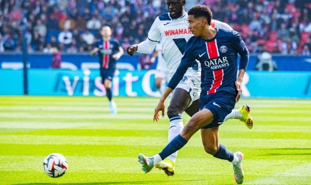 PSG - Le Havre : que retenir de la prestation des jeunes Senny Mayulu et Ibrahim Mbaye ?