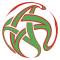 Logo Botola