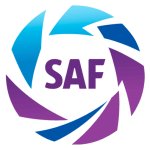 Logo Primera Division